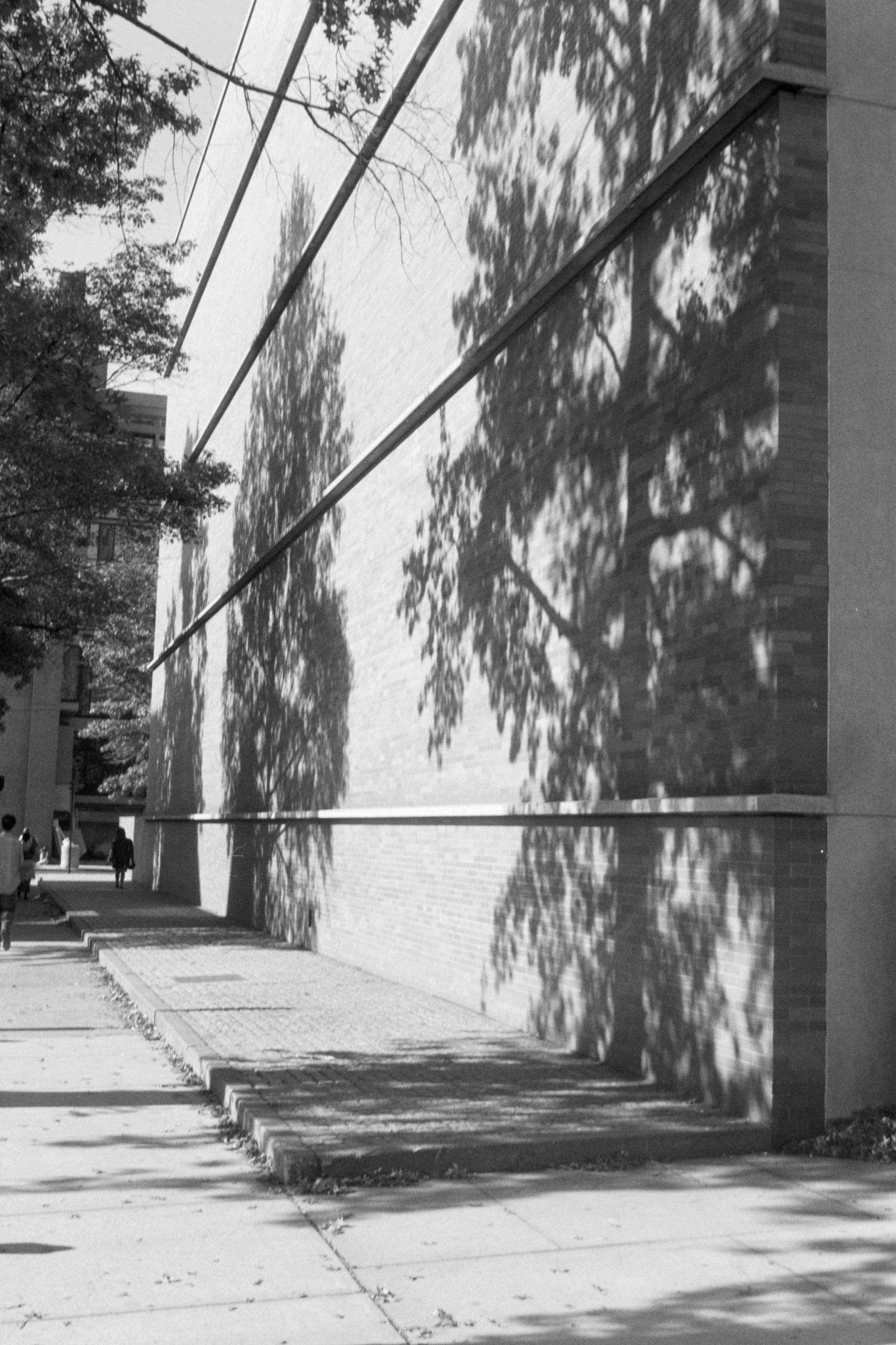 AHP FilmScan 240807 0851